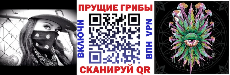 Галлюциногенные грибы Psilocybine cubensis что такое Нурлат