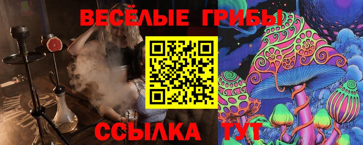 Нурлат  Псилоцибиновые грибы Cubensis  Вход с VPN  Галлюциногенные грибы Magic Shrooms 